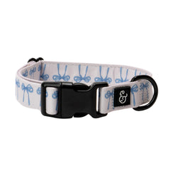 Lucy & Co. dog collar with a durable metal buckle for long-lasting daily wear.