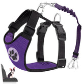 Lukovee dog seat belt with purple double clip in-car setup for secure travel.