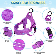 Lukovee No Pull Harness front D-ring purple enables controlled forward walking.