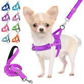 Lukovee No Pull Harness padded straps purple XS for comfortable small dog walks.
