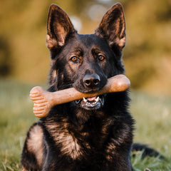 Lumabone Bulkster real bacon flavor chew showcases authentic bacon taste.