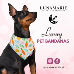 LunaMarie birthday bandana dual-layer detail highlights durability for active dogs