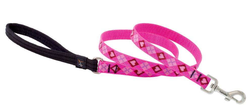 LupinePet Originals Puppy Love leash with padded handle for comfortable daily walks.