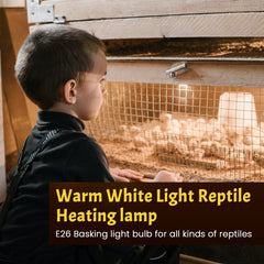 Lustaled full-spectrum UVB light rays simulate sun-like exposure for reptiles.