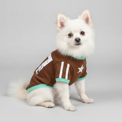 LUVMOJO forest-green small-dog sweater ideal for lounging and play.