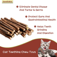 Luystoka Silvervine Sticks cat play session captures cats enjoying stress-relieving stimulation.