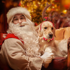 Luzcexs dog-headband-easy-on-off design makes dressing up quick and stress-free for pets.