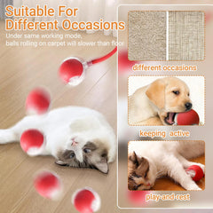 LVTEJPI adjustable speed modes tailor play for kittens and active cats.