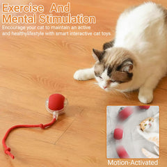 LVTEJPI smart sensors provide obstacle avoidance for smooth, uninterrupted sessions.