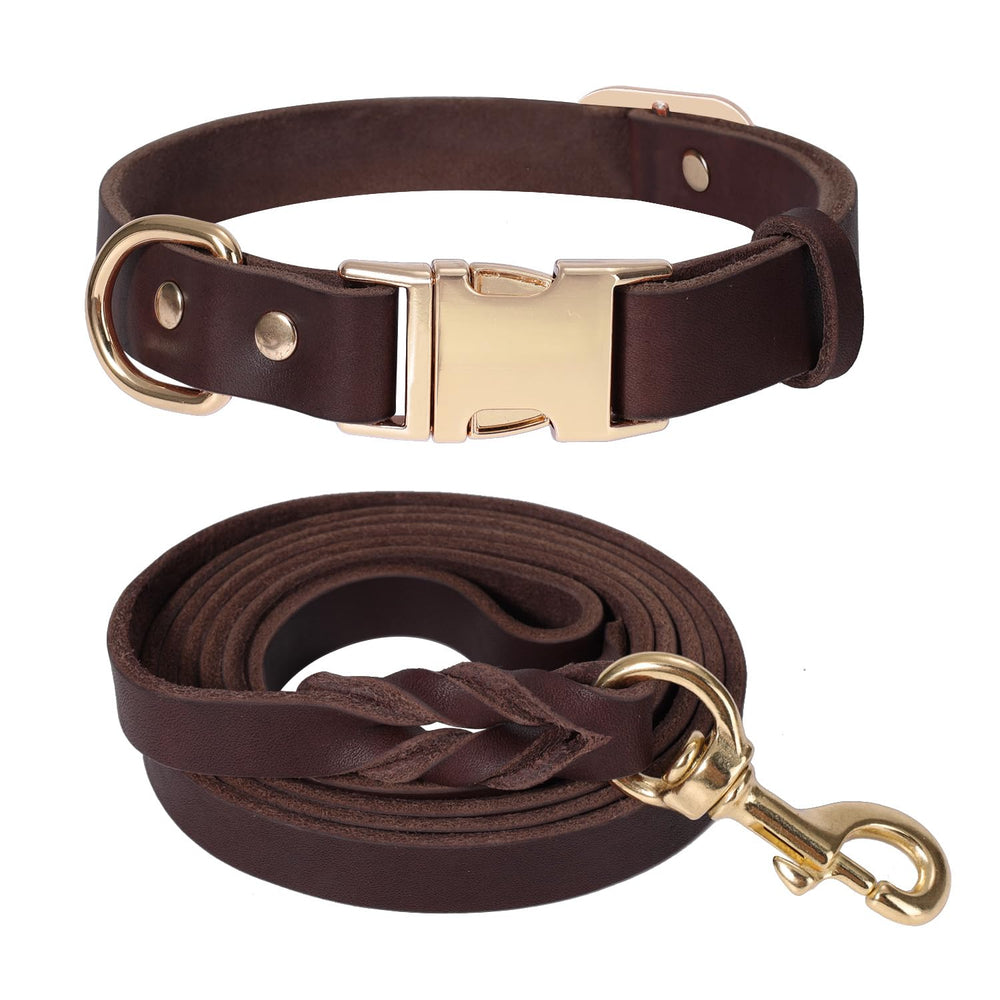 LWBMG leather dog collar 6ft brown shows durable everyday wear for active dogs.