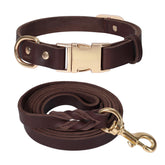 LWBMG leather dog collar 6ft brown shows durable everyday wear for active dogs.