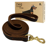 LWBMG leather dog leash 6ft braided close-up—durable stitching for long-lasting daily walks.