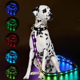 LWBMG Led Dog Leash with 9 modes boosts night safety during walks.