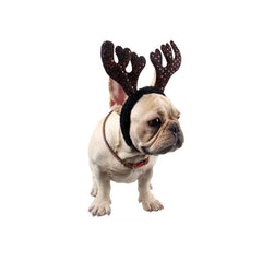 LXZColden elastic headband provides comfortable, adjustable fit for any small dog.