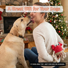 LydaPKS Squeaky Crab Toy with crinkle tail stimulates curiosity and sensory-rich play.