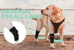 Lyderpet brace side view illustrating durable design