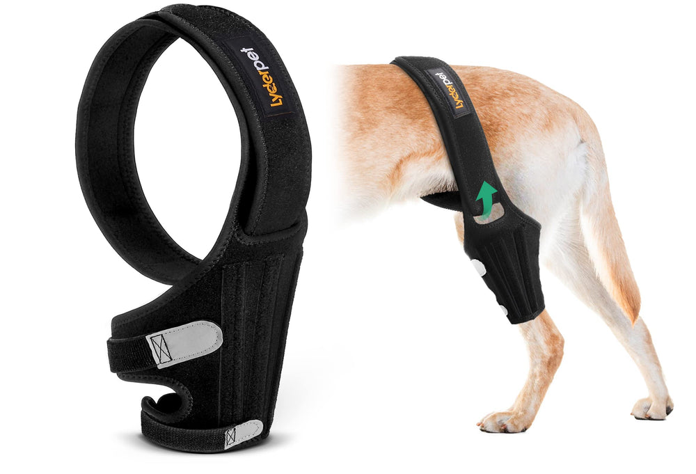 Lyderpet knee brace shows side stabilizers providing rear-leg stability during movement.