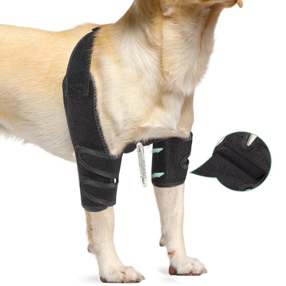 Lyderpet elbow brace left leg on dog offers stable support during walks