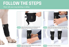 Lyderpet leg brace adjustment straps shown, aiding easy proper sizing and stability.