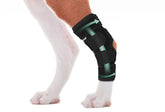 Lyderpet rear leg brace close-up showing snug hock support