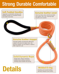 Lynxking dog leash slip lead 6ft training; versatile for walks and behavior shaping.