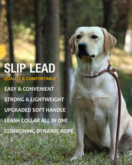 Lynxking dog leash slip lead easy-slip-on-off design speeds up transitions during leash training