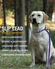 Lynxking two-in-one leash close-up shows adjustable loop and leather stopper
