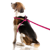 Lynxking No Pull Harness pink front view highlights 3-in-1 design for easy daily walks.