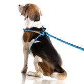 Lynxking no-pull rope dog harness front view for comfortable control during walks