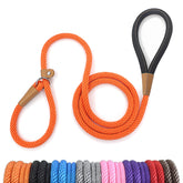 Lynxking slip lead 6ft adjustable loop demonstrates quick on/off training for medium to large dogs