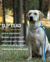 Lynxking-slip-lead-leather-stopper closeup highlights secure fit