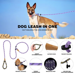 Lynxking slip lead with reflective night-walk strips