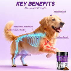 Lysimi hip and joint supplement bottle label highlights veterinarian-tested formula.