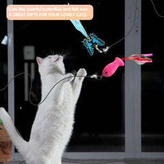 M JJYPET cat feather toys set ready for indoor play sessions and enrichment.