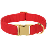 M MACA BATES Christmas Red Basic Dog Collar on a dog front view for daily walks.