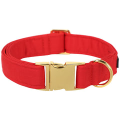 M MACA BATES Christmas Red Basic Dog Collar on a dog front view for daily walks.