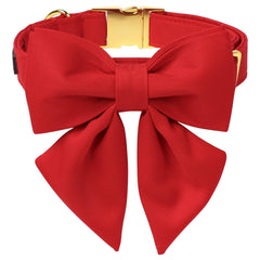 Collar rojo de M MACA BATES con lazo para paseos diarios y fotos.