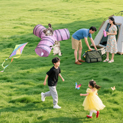 Mabaytir cat tunnel hanging ball engaging play and chasing behavior.
