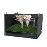 MABOZOO dog pee pad holder with grass surface for quick mess containment.