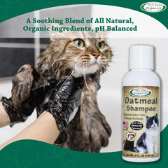 Mad About Organics oatmeal shampoo foam close-up shows soft lather for comfortable baths