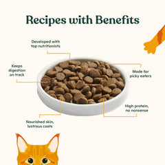 Made by Nacho cage-free chicken-liver kibble close-up emphasizes real ingredients.