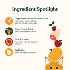 Made by Nacho DHA-taurine feature image suggests brain-vision support.