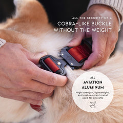 MADE TO ROAM aviation hardware D-ring and tag ring for secure leash and identification.