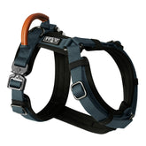 MADE TO ROAM Explorer Harness Colorado Nightsky front view shows secure construction for daily walks.