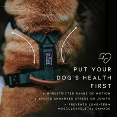 MADE TO ROAM Explorer Harness neoprene padding cushions during extended outdoor adventures.