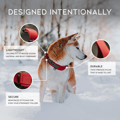 MADE TO ROAM heavy-duty stitching reinforces collar durability