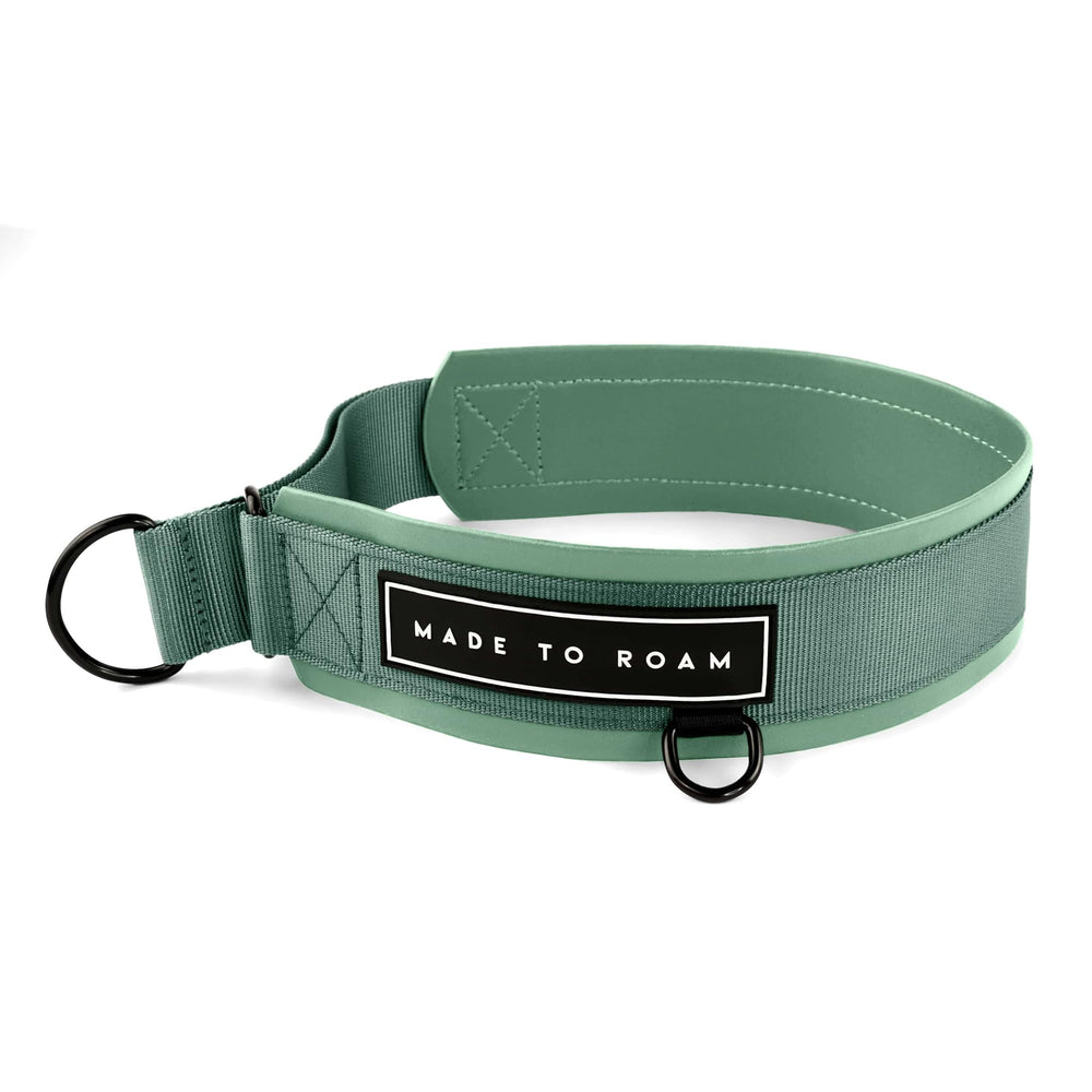 MADE TO ROAM Premium Everyday Dog Collar martingale-closure for secure, gentle control during daily walks.