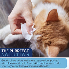 Magicare pet wipes for face care, quick wipe-down after walks.