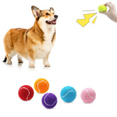 Magicorange 6-pack dog tennis balls in multicolor for vibrant fetch play.