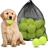 Magicorange dog tennis ball 2.5-inch yellow pack for fetch and play.